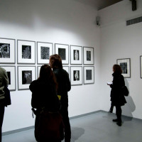 Walter Chappel - Metaflora Portfolio - ph. Federica Casetti