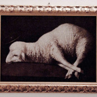 Zurbaran - Agnus Dei - ph. Cristina Villani