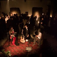 Ludovica Amati - la cura