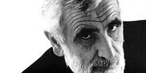 immagine per enzo mari