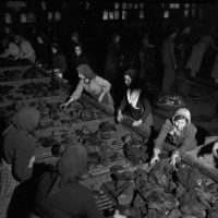 immagine per Federico Patellani, lavoro delle miniere di carbone a Carbonia (donne), 1950