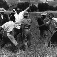 immagine per Franco Pinna, S. Giorgio Lucano-agosto 1959