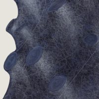 immagine per Luisa Rabbia - Love alla Collezione Maramotti