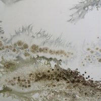 immagine per Fabio Mariani, In Nuce, Galleria Curva Pura, Roma, 2017- ph. B. Martusciello