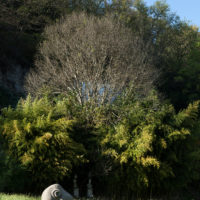 immagine per La Serpara. Dialoghi tra arte e natura