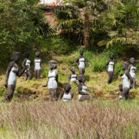 immagine per La Serpara. Dialoghi tra arte e natura