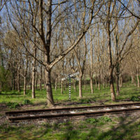 immagine per La Serpara. Dialoghi tra arte e natura