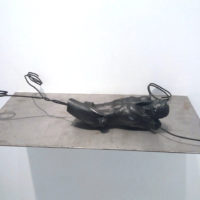 immagine Nino Longobardi, Multipli