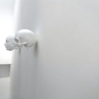 immagine Nino Longobardi, Multipli