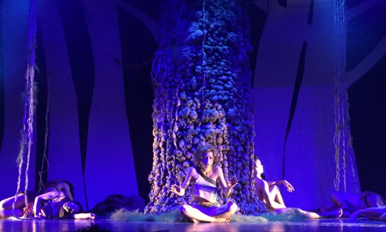 immagine per Amazzonia, al Teatro Cyrano di Roma