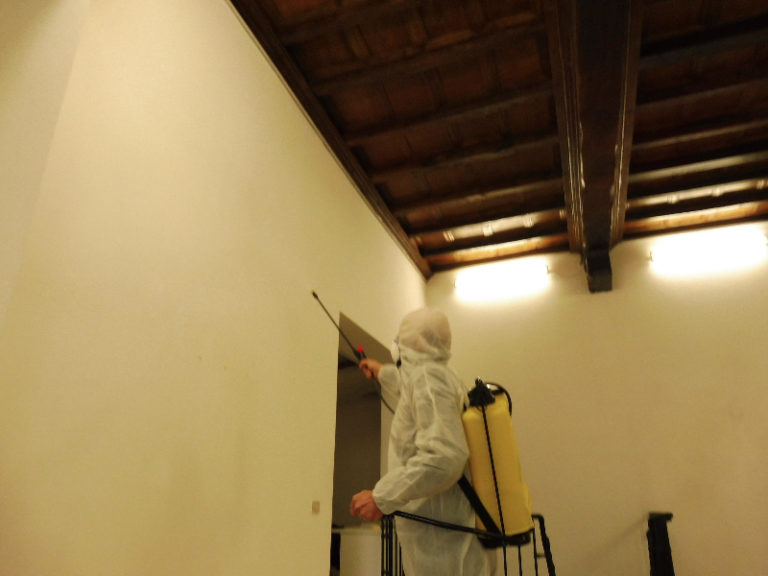 immagine Lino Baldini
