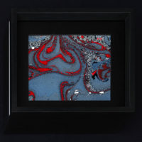 immagine ArteFiera 2018