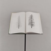 immagine Cesare Leonardi - L'architettura della vita