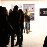 immagine per Anima(L)Rave