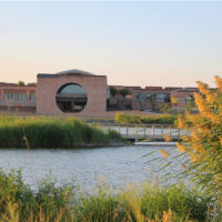 immagine per Biennale di Yinchuan e Marco Scotini