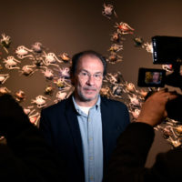 immagine per Eugenio Ampudia, Un Infierno cómodo