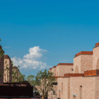 immagine per Biennale di Yinchuan e Marco Scotini
