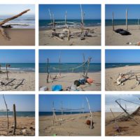 immagine Giuseppe Ripa,