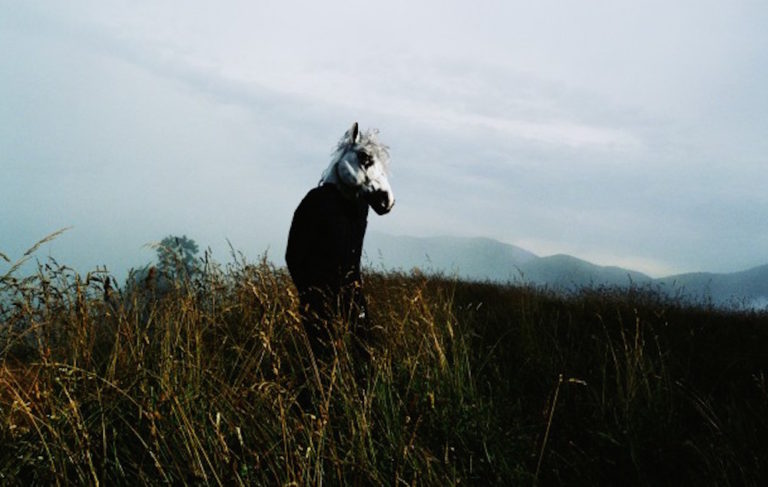 immagine per Sparklehorse