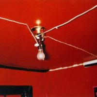 immagine William Eggleston