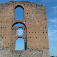 immagine per Ailanto