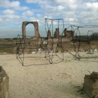 immagine per Ailanto