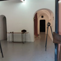 immagine per Cleo Fariselli