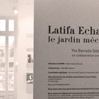 immagine per Latifa Echakhch
