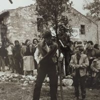 immagine per Lucrezia De Domizio Durini