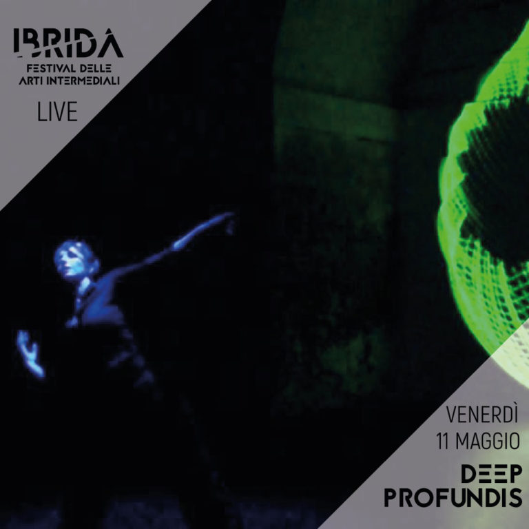 immagine per Ibrida Festival