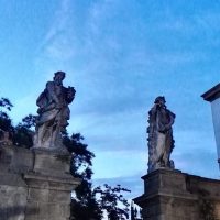 immagine per Ascanio Celestini
