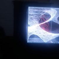 immagine per Nei Albertí