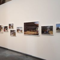 immagine per Paul Graham