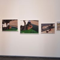immagine per Paul Graham