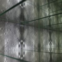 immagine per Leonardo Petrucci