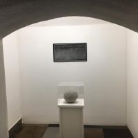 immagine per Leonardo Petrucci