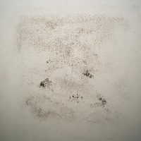immagine per Paolo Assenza