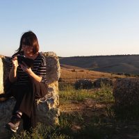 immagine per Tarquinia etrusca