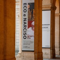 immagine per Eco e Narciso