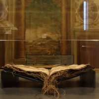 immagine per Eco e Narciso
