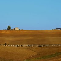 immagine per Tarquinia etrusca