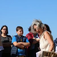 immagine per Tarquinia etrusca