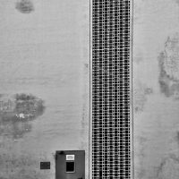 immagine per Raffaele Salvati