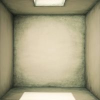 immagine per New Perspective