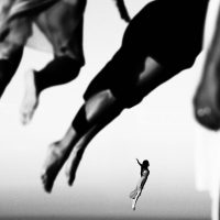 immagine per New Perspective
