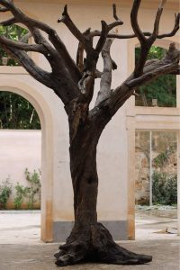 immagine per Foresta Urbana