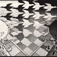 immagine per Escher