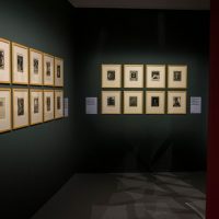 immagine per Escher