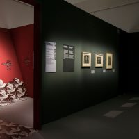immagine per Escher