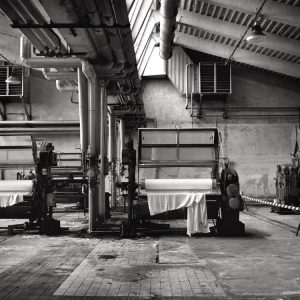 immagine per Massimiliano Camellini